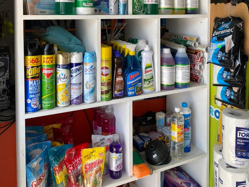 Variedad de productos par el aseo del hogar