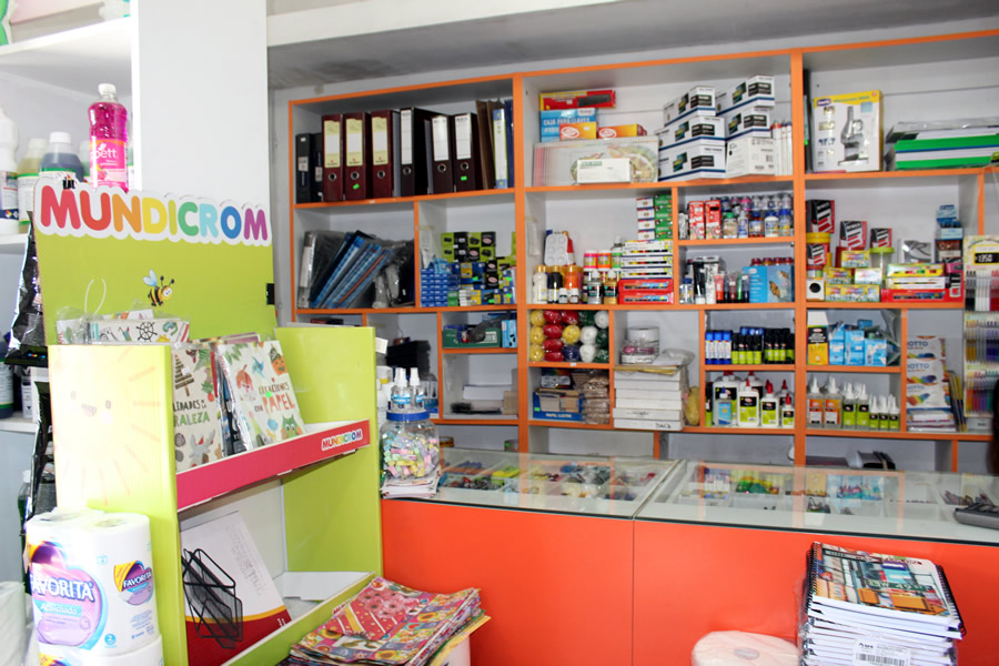 Variedad de productos par el aseo del hogar